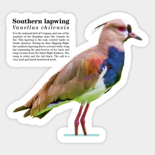 Southern lapwing tropical bird black text Sticker